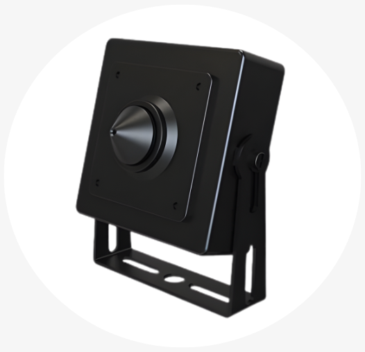 Pinhole Cameras