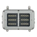 SPX-BL24-W-3030-SP48 Raytec Systems Zone 1 24 LED Bulkhead White-Light 30 x 30 Degrees Circular Beam 110-254VAC