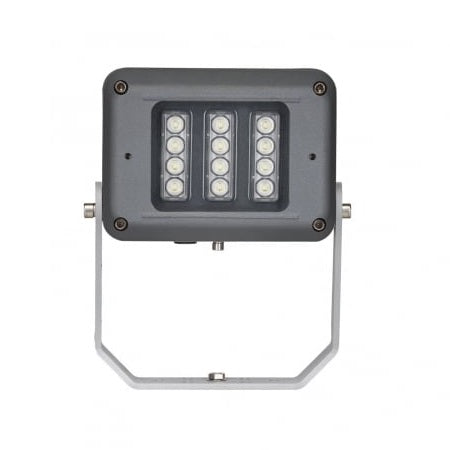 SPZ-FL12-W-6025-ELV Raytec Systems Zone 2 12LED White-Light Floodlight 60 x 25 Degrees Elliptical Beam 12VAC/DC